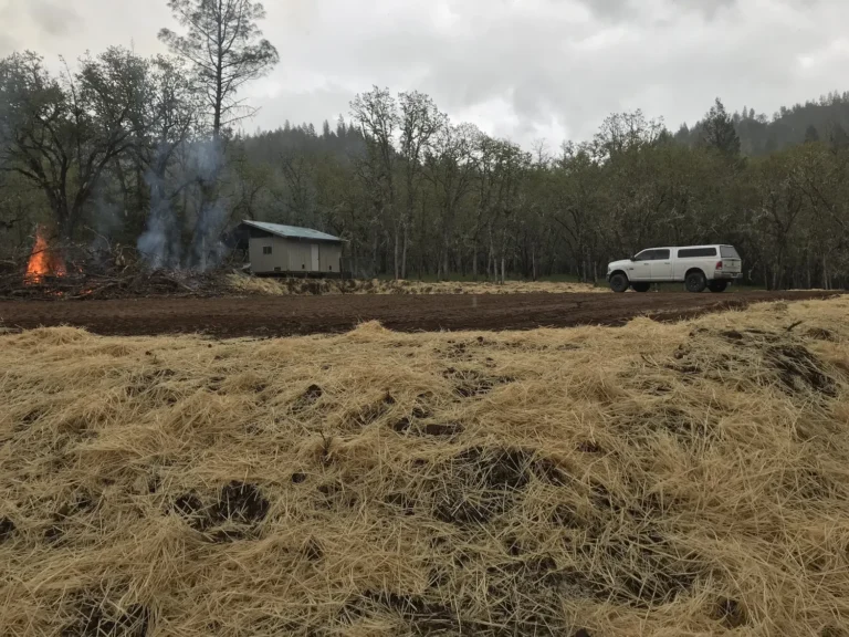 Aggregate supply and delivery — DW Excavation, Central Coast