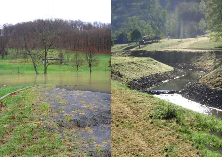 Wetlands and waterway remediation work — DW Excavation, California