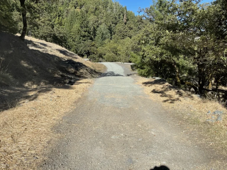 Hillside stabilization and erosion control