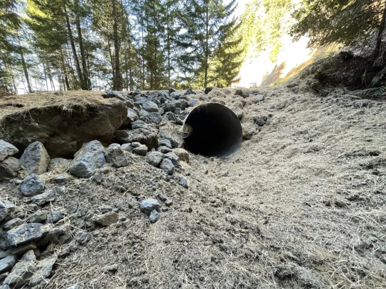Soil stabilization and erosion protection