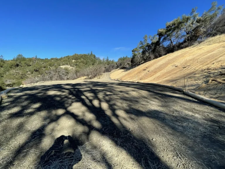 Erosion control and site stabilization