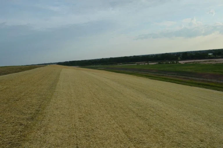 Erosion control matting and stabilization