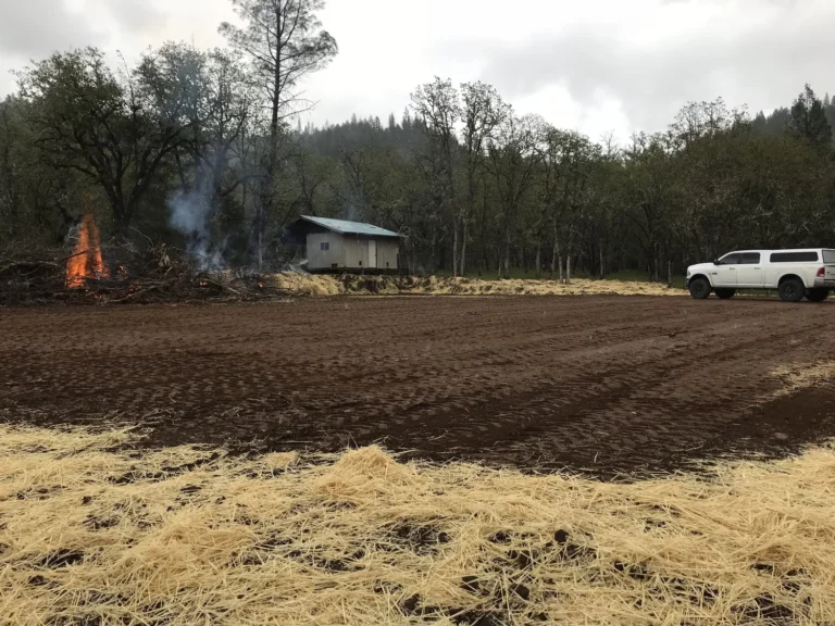 Site excavation and preparation