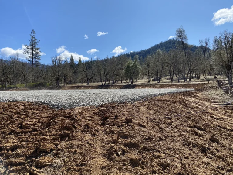 Brush removal and site prep
