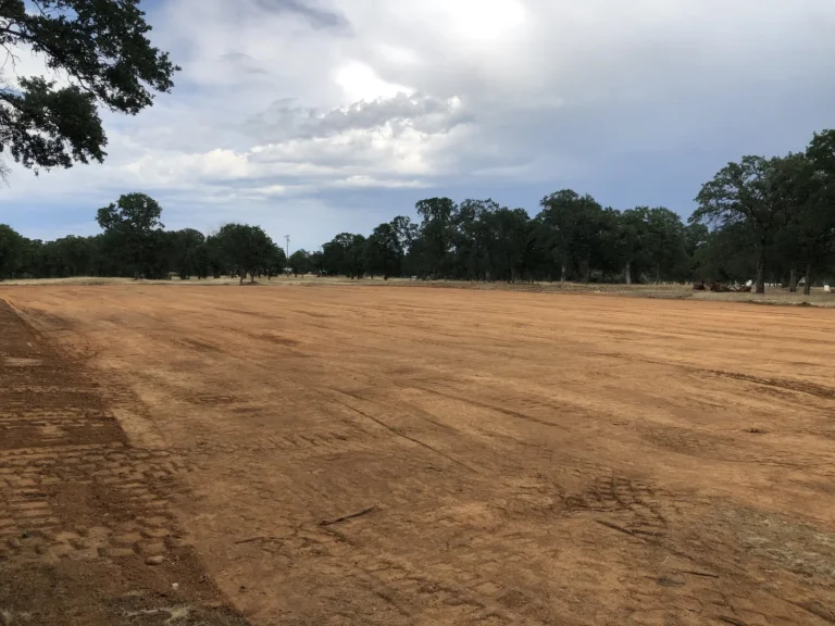 Site clearing and land development