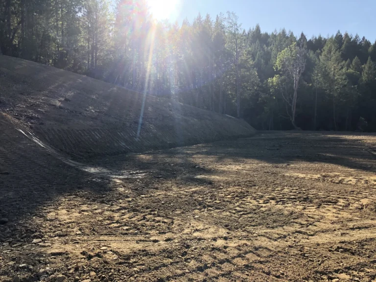 Brush removal and land clearing services