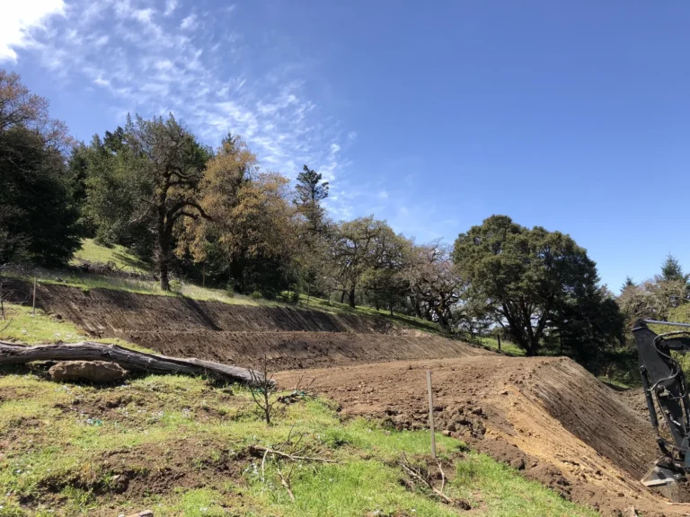 Land clearing project — Central Coast