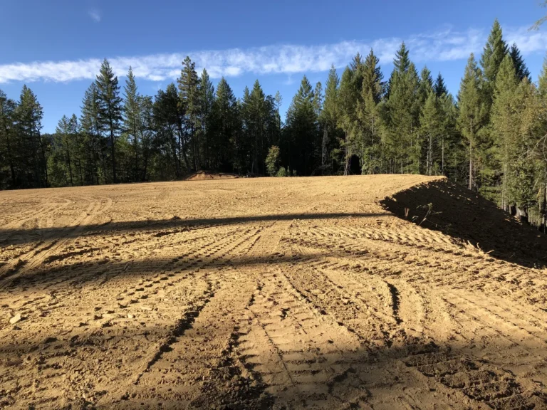 Land clearing and brush removal