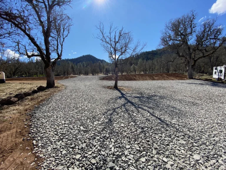 Land clearing for pond and road project
