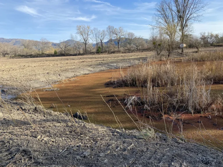 Pond and road project — Monterey County