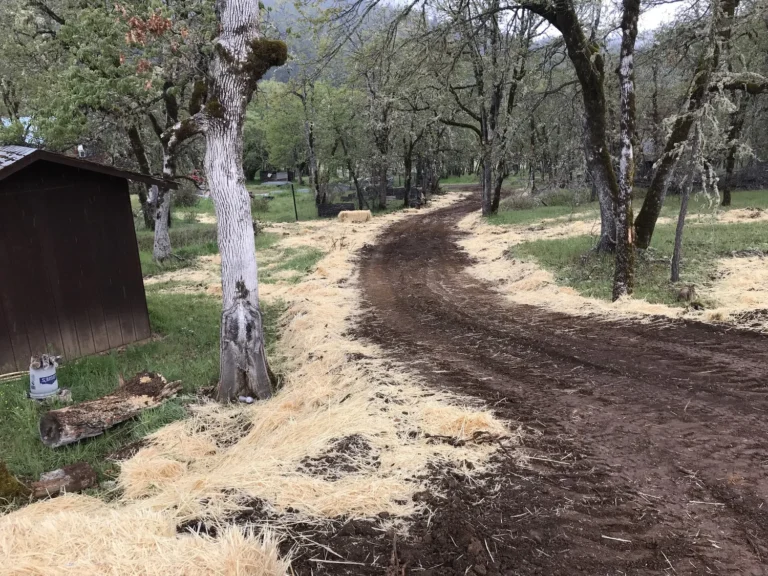 Stock pond construction and overflow system