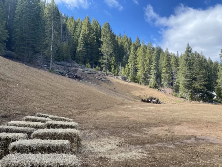 Hillside with straw wattles and grading work in forest setting for storm preparedness