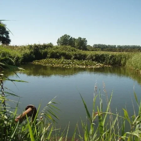 Ponds and Road Construction